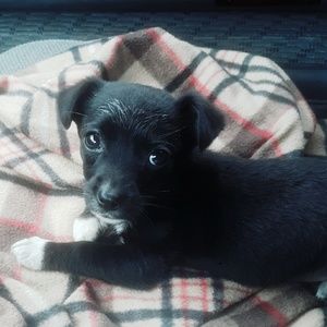 Meet your Posher, Jeorge
